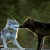 sweetkitten505