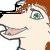 Raven_Wolf_16
