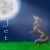 TheWolfwriter15