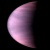 VenusStar453