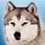 Vicsy
