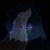 wolf quest the white wolf girl