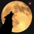 WolfEE