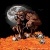 wolfman555