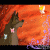 x-aleu-x