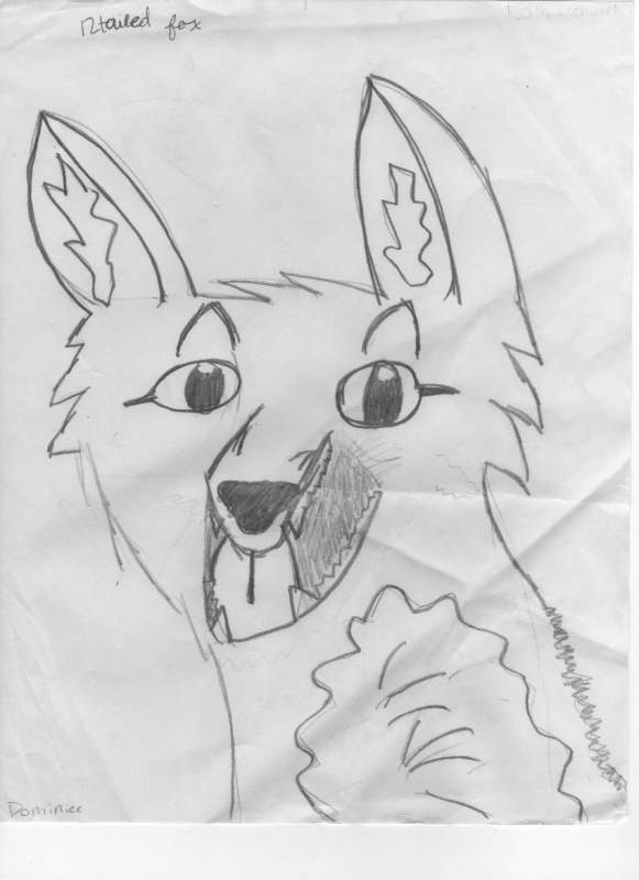 12tailedfox
