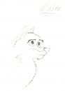 balto