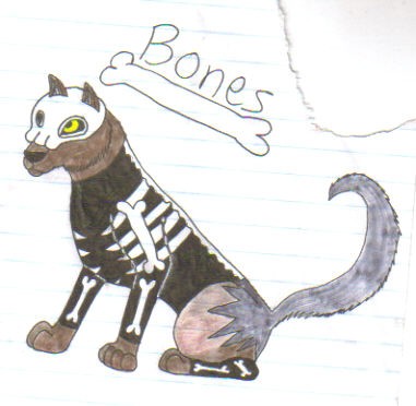 bones