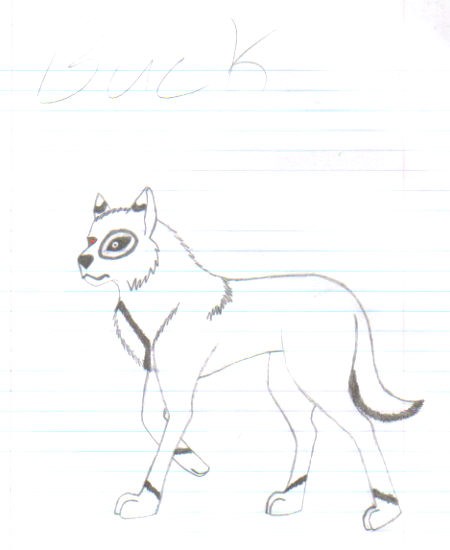 buck