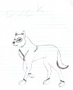 buck