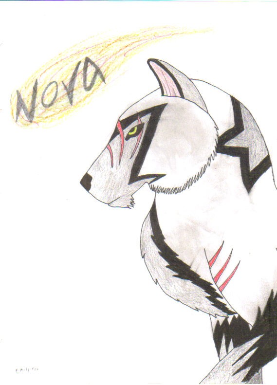 nova