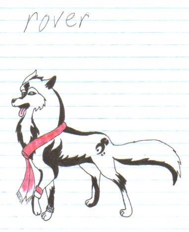 rover