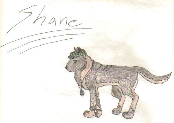 shane