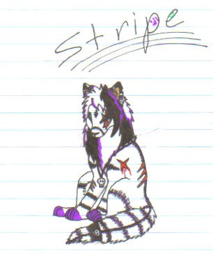 stripe
