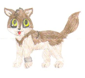 toboe