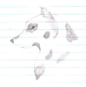 wolf