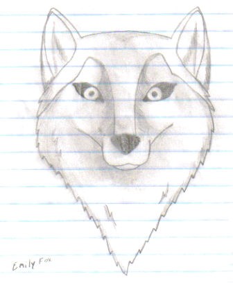 wolf