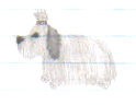 it's a dog?????
