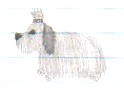 it's a dog?????