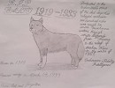 March 14, Balto