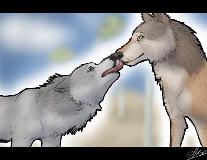 First Kiss