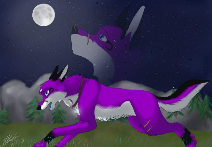 -Full Moon-