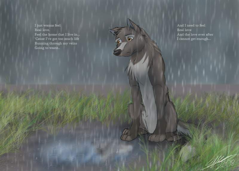 -Feel-