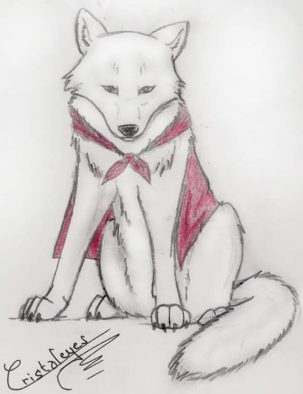 Wolf Riding Hood 