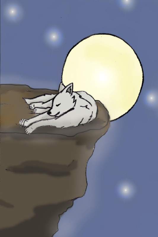 Lunar atmosphere