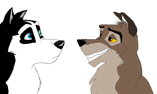 Stalto and Beele XD