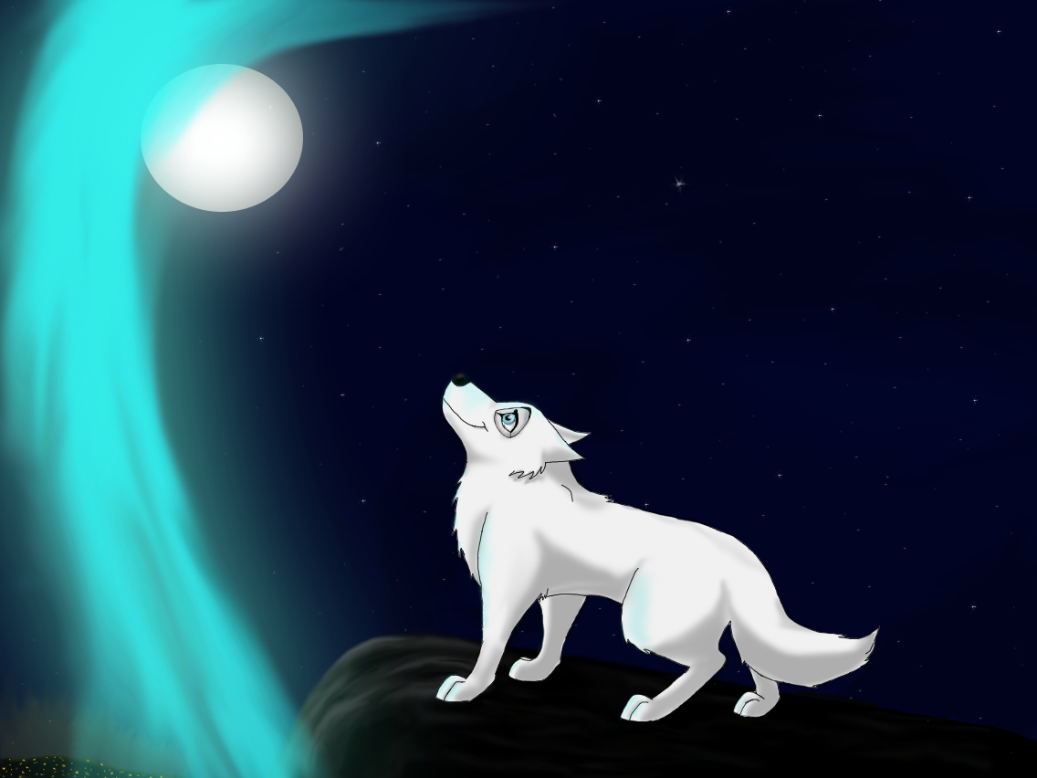 A Northern Night