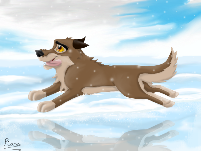 Young Balto