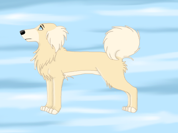 Random Dog...
