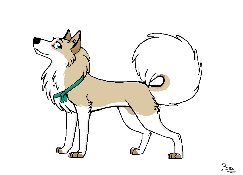 Sitka; Trade with Teal-Husky