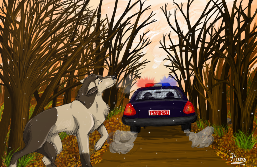 Hudson for Animorphs#1