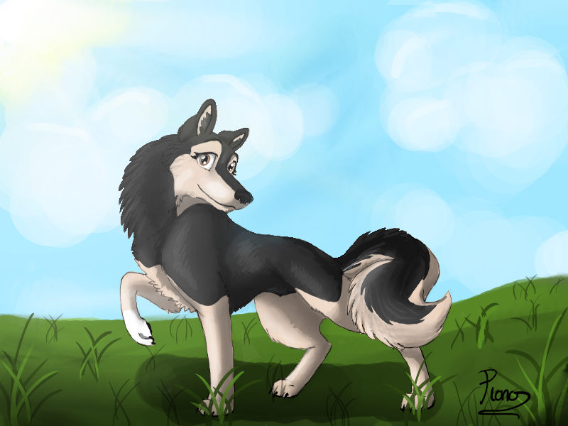 Olita- Gift art to Jordan