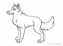 Lineart =D