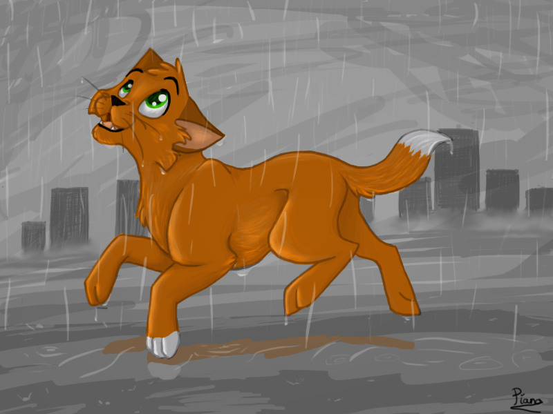 Rainy Days