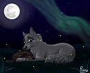 Balto and Mummy Under the Stars
