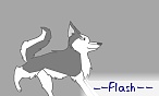 --Flash--