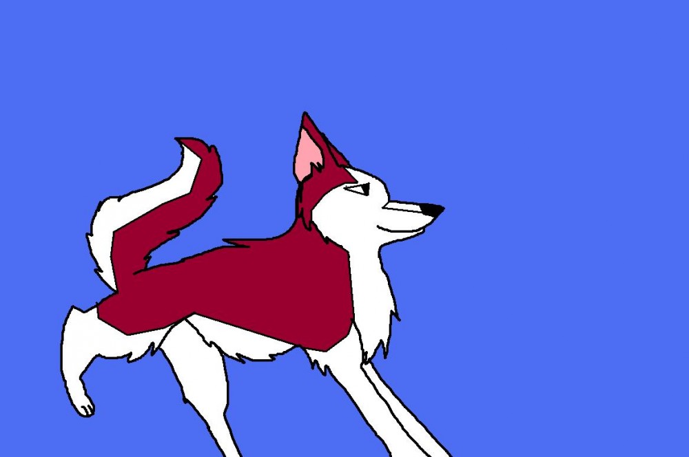 Kodi