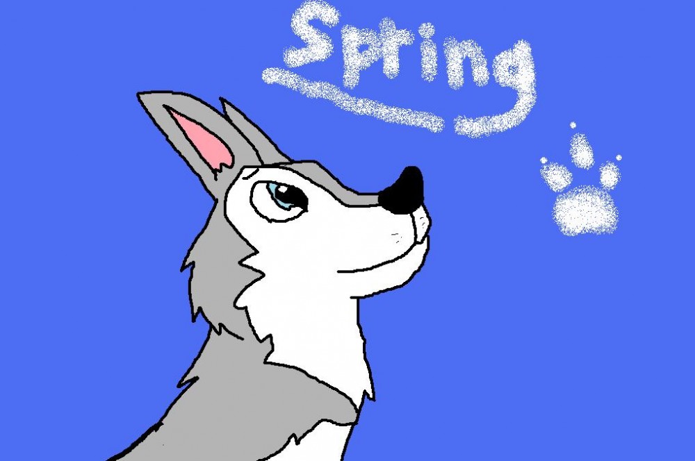 Spring