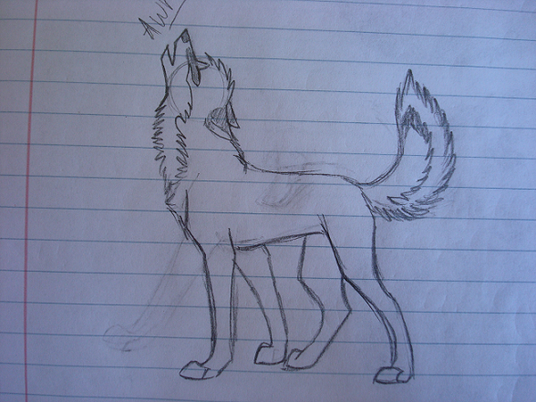 awoooooo