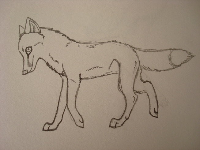 realistic fox