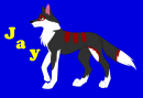 Jay