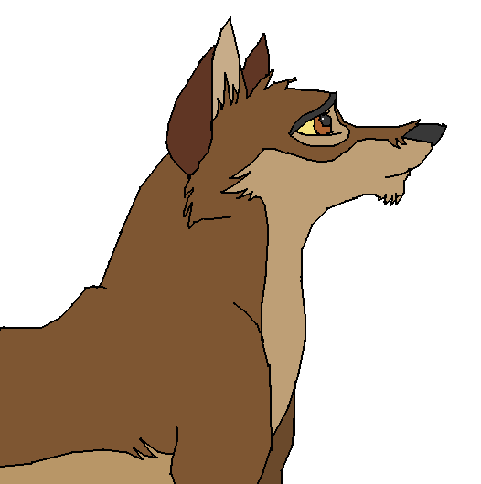 ~ BALTO ~
