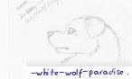_white_wolf_paradise_