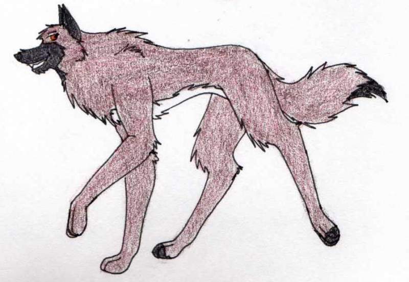 Unnamed#1