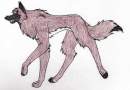 Unnamed#1