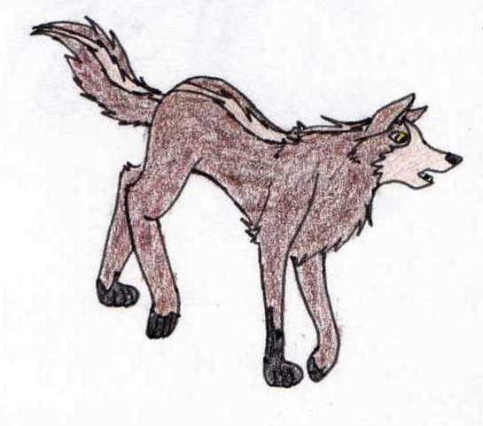 Unknown